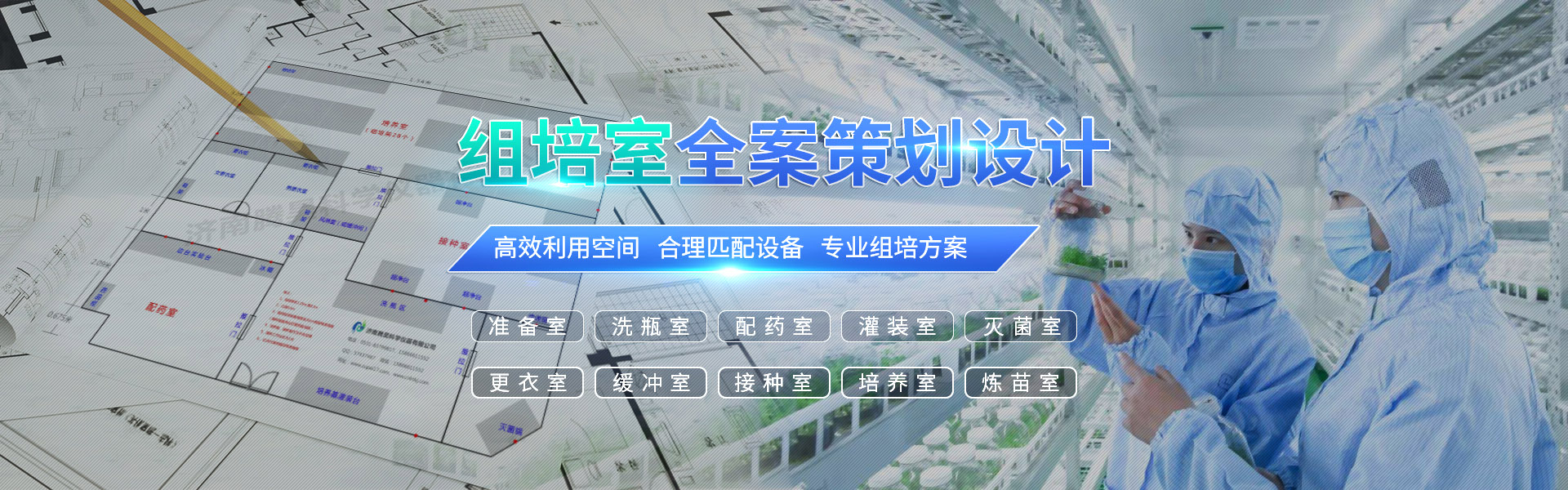 草莓视频在线免费、草莓视频在线免费架