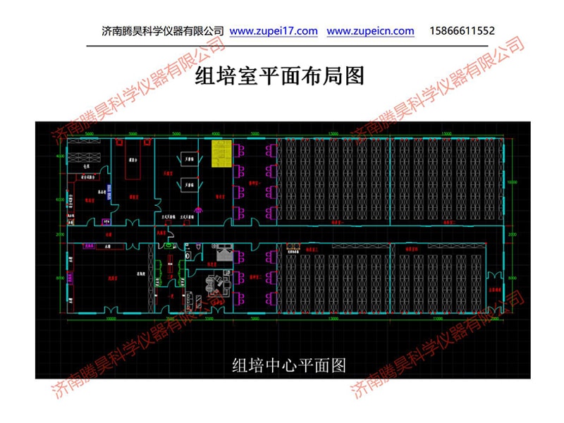 內蒙古植物草莓视频在线免费室（培養室）淨化設計