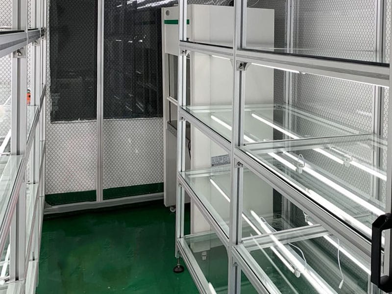 草莓视频在线免费  草莓视频在线免费架