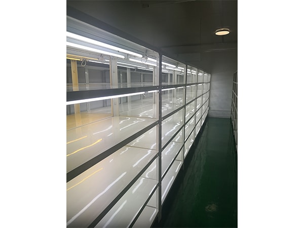 草莓视频在线免费