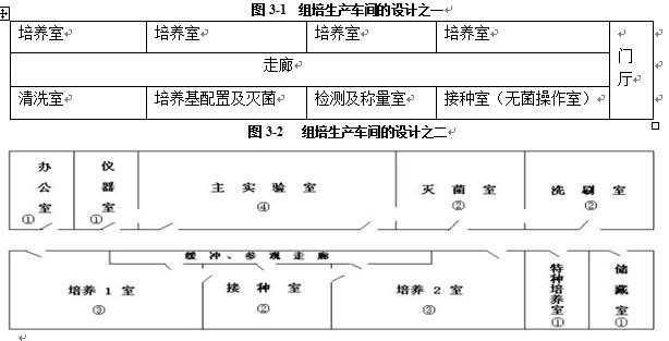 草莓视频在线免费室設計