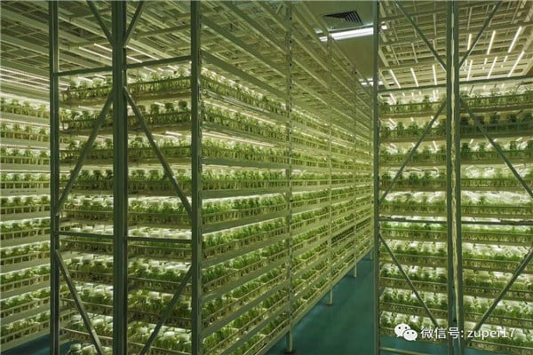 草莓视频在线免费儀器設備